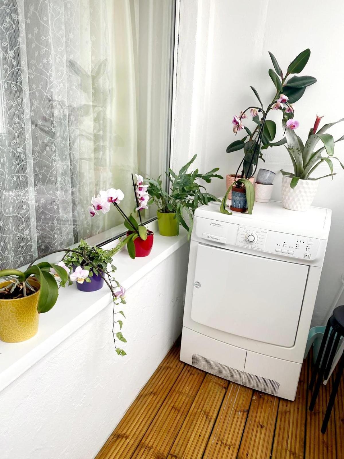 דירות לייפאז'ה Seaview Flat מראה חיצוני תמונה